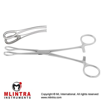 Foerster Sponge Holding Forcep Curved Stainless Steel, 24.5 cm - 9 3/4"